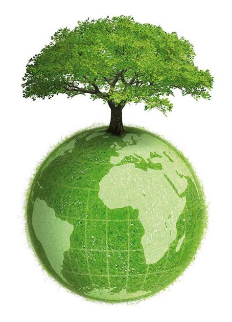 Qué es el Día Mundial del Medio Ambiente y cómo celebrarlo