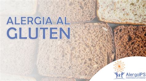 ¿Qué es el gluten? Conoce más de ello   ALERGOIPS