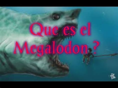 ¿Que es el Megalodon?   YouTube