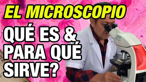Qué es el microscopio y para qué sirve?   YouTube