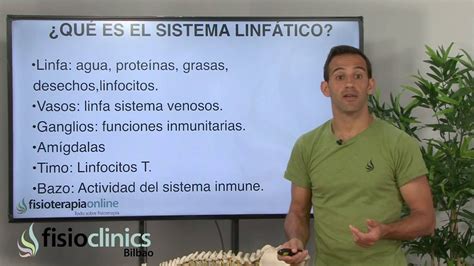 ¿Que es el sistema linfático?   Drenaje linfático Bilbao ...
