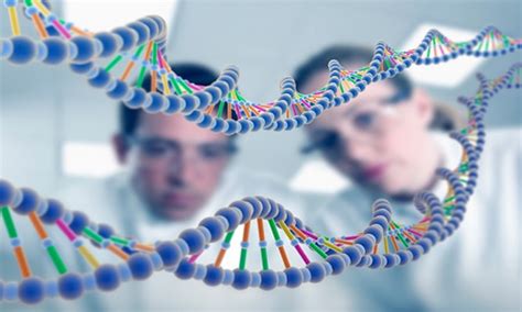 QUE ES GENETICA...   GENETICA Y BIOLOGIA MOLECULAR