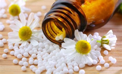 ¿Qué es Homeopatía? » Su Definición y Significado [2020]