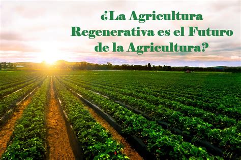 ¿Qué es la Agricultura Regenerativa?