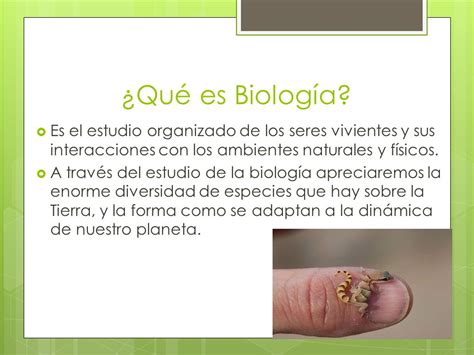 ¿Qué es la Biología? Por Wilfredo Santiago.   ppt descargar