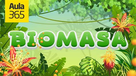 ¿Qué es la Biomasa? Ecosistemas y comunidades | Videos ...