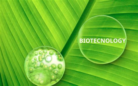 ¿Qué es la Biotecnología? Definición y aplicaciones – Blog ...
