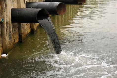 ¿Qué es la contaminación del agua y cómo se puede detener ...