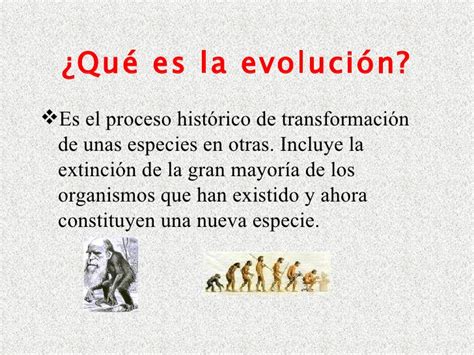 Que Es La Evolucion
