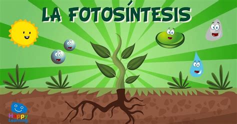 ¿Qué es la fotosíntesis? Y su historia