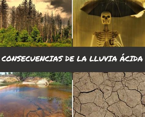 ¿Qué es la Lluvia Ácida? Descúbrelo en :: Lacontaminación.org