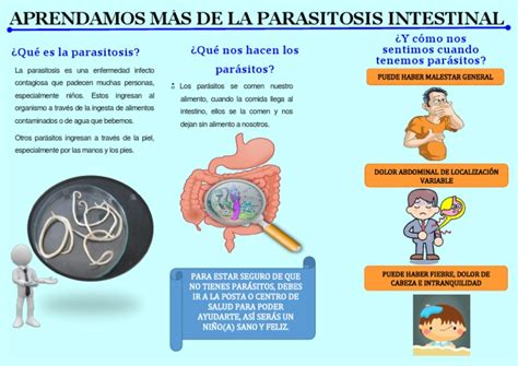 ¿Qué es la parasitosis? ¿Qué nos hacen los parásitos? ¿Y cómo nos ...