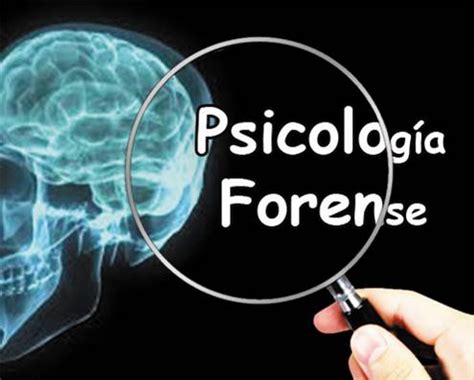¿Que es la Psicología Forense? | Consejoneurociencias