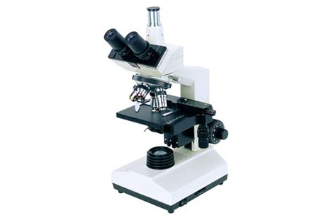 ¿Qué es Microscopio?   Su Definición, Concepto y Significado