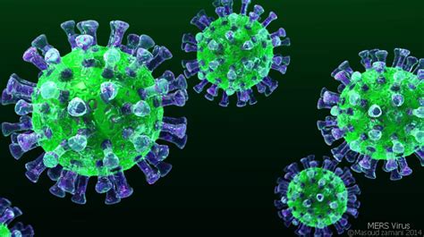 ¿Qué es un coronavirus?
