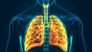 ¿Qué es un enfisema pulmonar? ¿Se puede tratar o curar ...