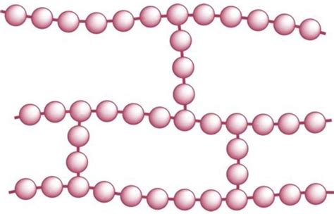 ¿Qué es un polímero? Definición, polimerización y ejemplos   Curiosoando