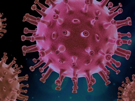 ¿Qué es un virus endémico? Toda la información que necesitas