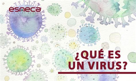 Qué Es un Virus y Cómo se Transmite: Guía Completa   Esneca
