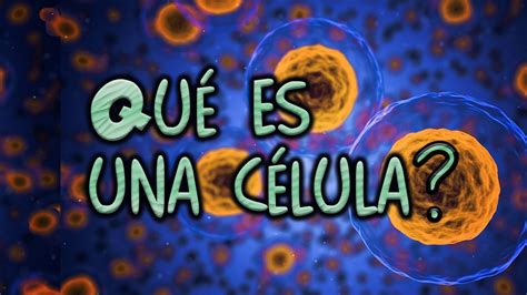 Qué es una célula Parte I Células procariotas YouTube
