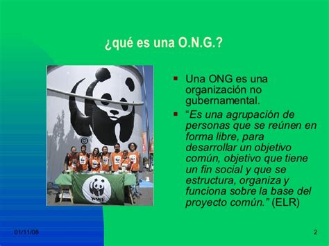 ¿Qué es una ONG y cuál es su función? ️ » Respuestas.tips