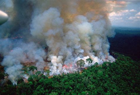 Qué está pasando en el Amazonas y por qué nos debería ...