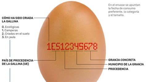 Qué nos cuentan los huevos