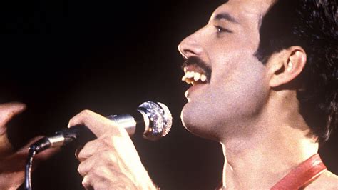 ¿Qué opinas sobre Freddie Mercury?