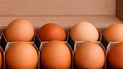 ¿Qué pasa si comes huevo todos los días? Esto te interesa   Gastrolab