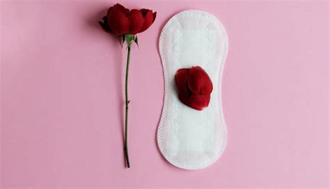 ¿Qué planta sirve para hacer bajar la menstruación?