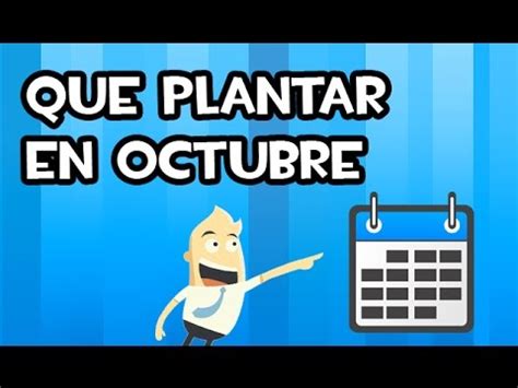 Que Plantar en Octubre | Calendario de Siembra   YouTube