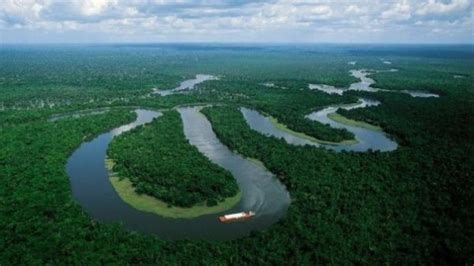 ¿Qué problemas enfrenta la selva amazónica? | Noticias ...