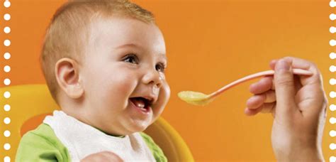 Que Puede Comer Un Bebe De 6 Meses   Consejos de Bebé