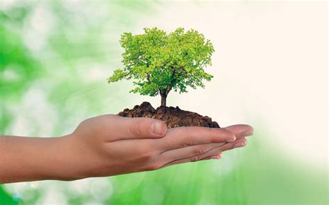 ¿Qué puedo hacer cada día para cuidar el medio ambiente ...