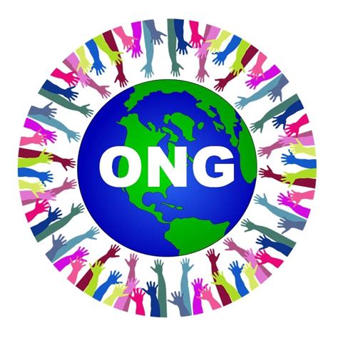 ¿ Qué Significa ONG ? ~ Definición | Significado de ONG