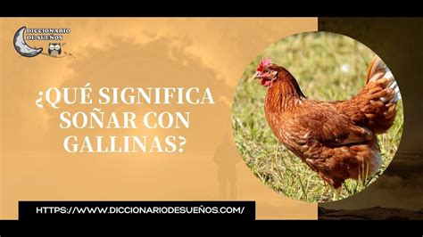 ¿Qué Significa Soñar con Gallinas?    YouTube