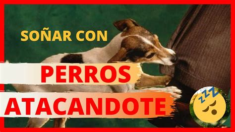 ¿que SIGNIFICA SOÑAR con PERROS que ATACAN?   YouTube