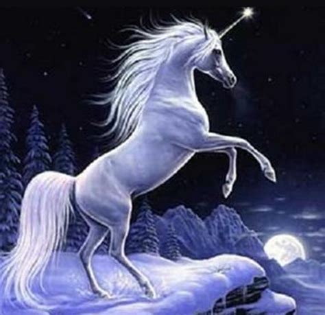 ¿Qué significa soñar con un Unicornio?   Significado de ...