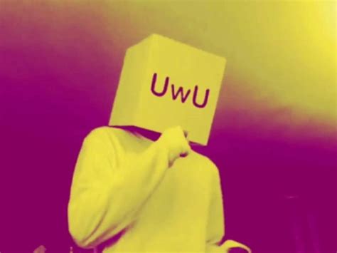 ¿Qué significa uwu? ¡Te lo explicamos! | ActitudFem