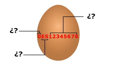 ¿Qué significan los números impresos en los huevos ...