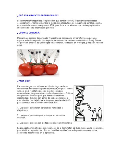 QUÉ SON ALIMENTOS TRANSGENICOS | Organismo genéticamente modificado ...