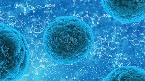 ¿Qué son las células madre?   Biorígenes