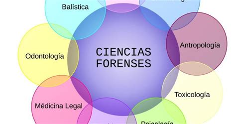 ¿Qué son las Ciencias Forenses? | Huella Forense