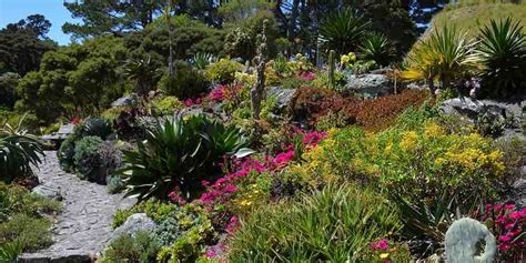 Qué son las Plantas XerófitasGUIA JARDIN MEDITERRANEO 2022