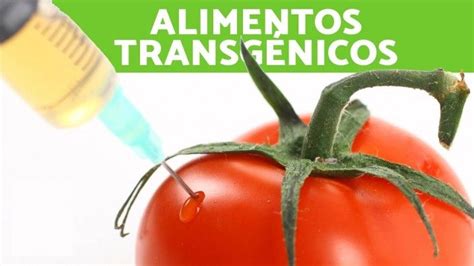 ¿Qué son los alimentos transgénicos? Ventajas y desventajas | Ecología Hoy