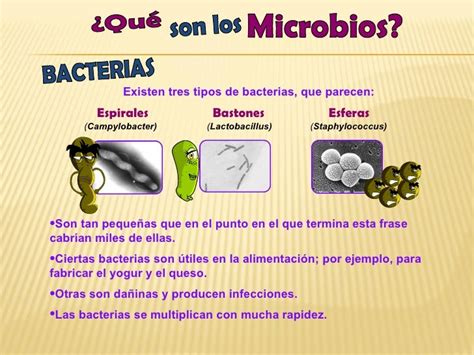Qué son los microbios   Adriana Villanueva