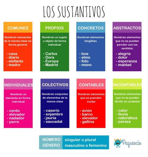 ¿Qué son los SUSTANTIVOS? Clasificación y ejemplos   Pequeocio ...