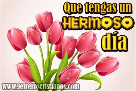 Que tengas un HERMOSO día – Tulipanes – Letreros Cristianos.com ...