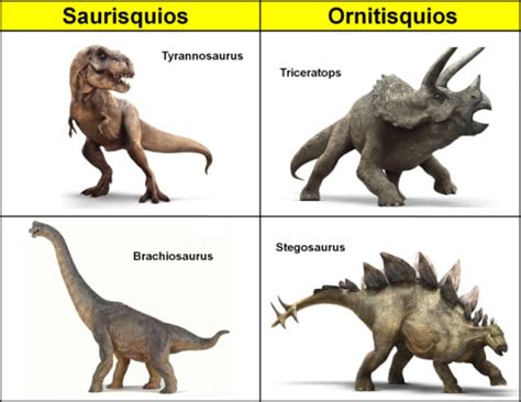 ¿Qué tipo de dinosaurios existieron? | FOTOS