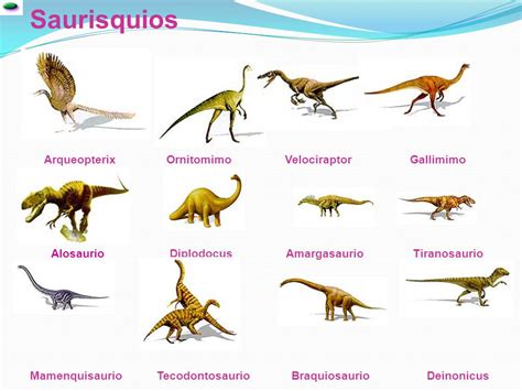 ¿Qué tipos de dinosaurios existieron? ️ » Respuestas.tips